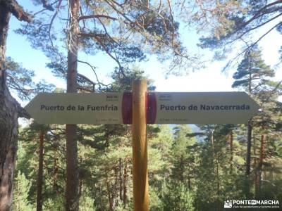 Siete Picos [Serie clásica]: La Sierra del Dragón;la fuentona de muriel fotos montañas refugio de al